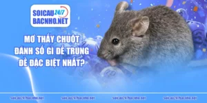 Mơ Thấy Chuột Đánh Số Gì Dễ Trúng Đề Đặc Biệt Nhất?