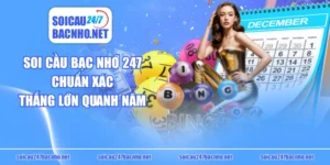 Soi Cầu Bạc Nhớ 247 Chuẩn Xác, Thắng Lớn Quanh Năm