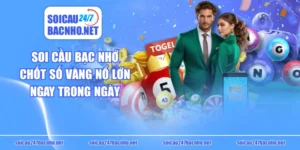 Soi Cầu Bạc Nhớ - Chốt Số Vàng Nổ Lớn Ngay Trong Ngày