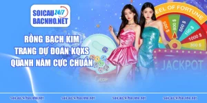 Rồng Bạch Kim - Soi Cầu Rồng Bạch Kim Chính Xác 100