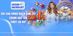 Soi Cầu Rồng Bạch Kim 247 Chính Xác 100 Chốt Số VIP